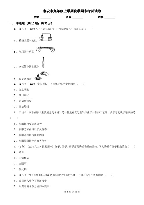 泰安市九年级上学期化学期末考试试卷