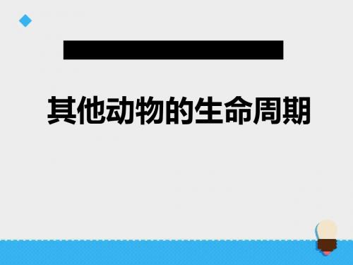 《其他动物的生命周期》动物的生命周期PPT课件