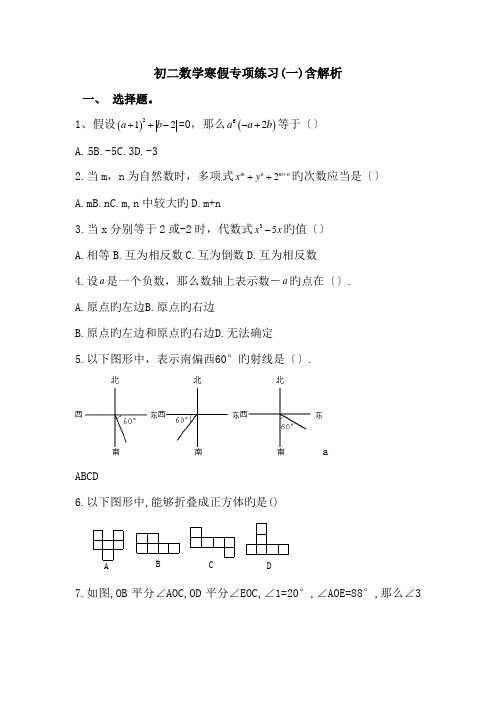 初二数学寒假专项练习(一)含解析.doc