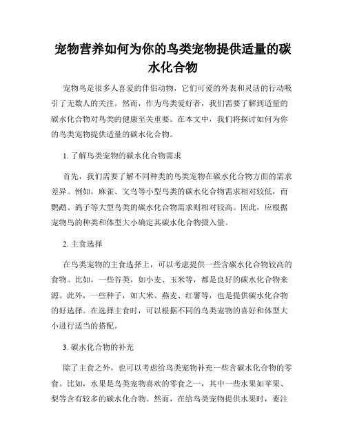 宠物营养如何为你的鸟类宠物提供适量的碳水化合物