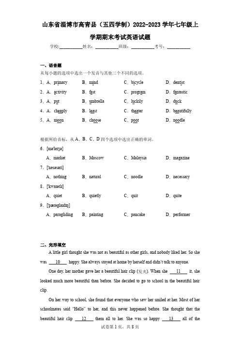 山东省淄博市高青县(五四学制)2022-2023学年七年级上学期期末考试英语试题