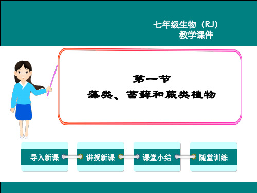 人教版七年级生物上册第三单元 第一章  生物圈中有哪些绿色植物 课件