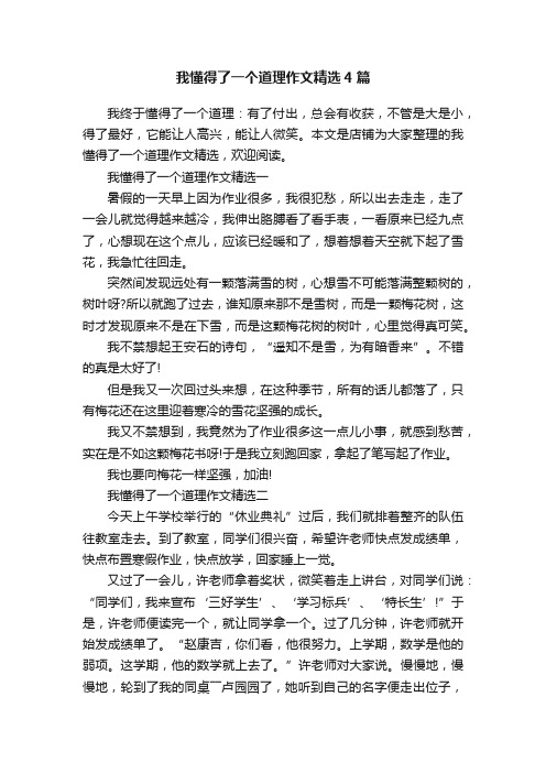 我懂得了一个道理作文精选4篇