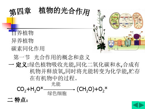 植物生理学  4.光合作用