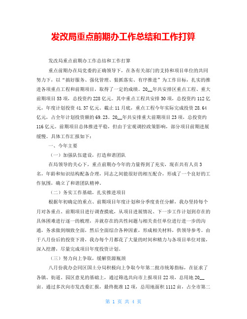 发改局重点前期办工作总结和工作打算