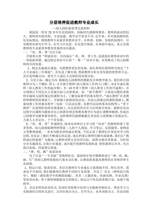 分层培养促进教师专业成长