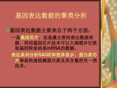 11第十一课生物信息学的基因聚类分析