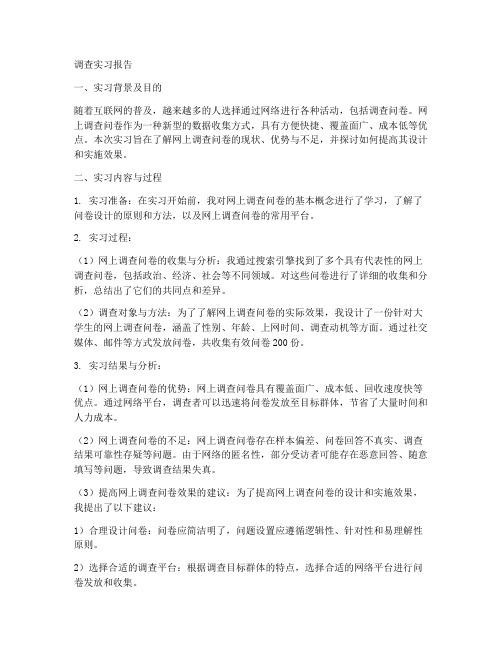 网上调查实习报告