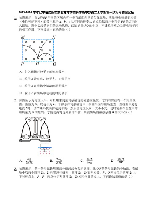 2023-2024学年辽宁省沈阳市东北育才学校科学高中部高二上学期第一次月考物理试题