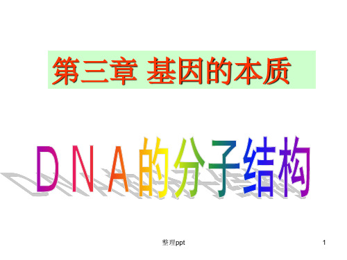 《DNA的分子结构》PPT课件