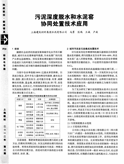 污泥深度脱水和水泥窑协同处置技术应用