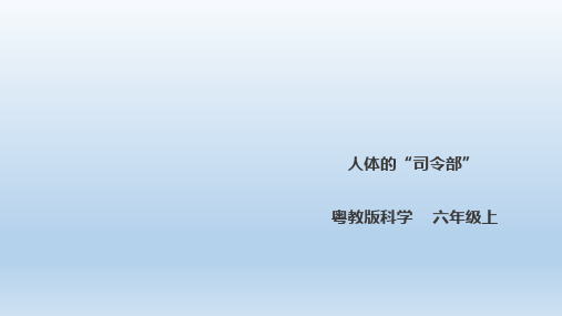 六年级上册科学课件-1.7《人体的”司令部“》l 粤教版(共28张PPT)