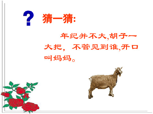 骆驼和羊优秀课件.ppt