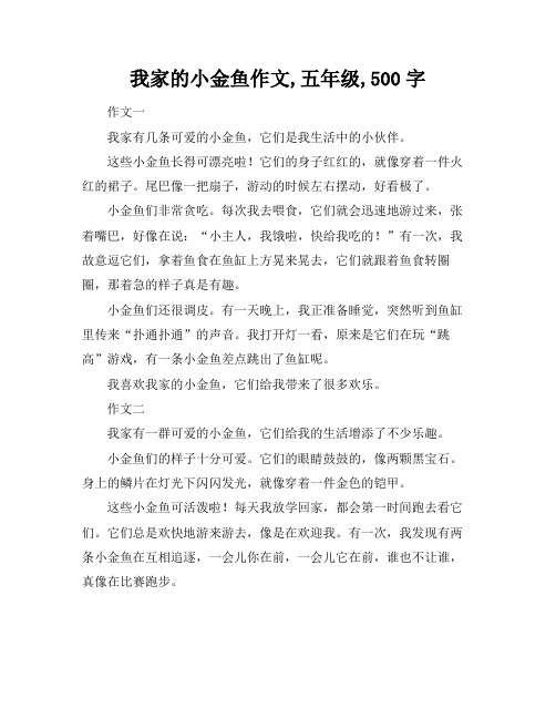 我家的小金鱼作文,五年级,500字