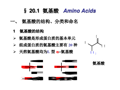 有机化学二十精品PPT课件