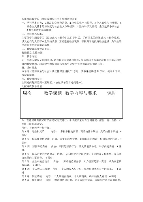 经济政治与社会计划