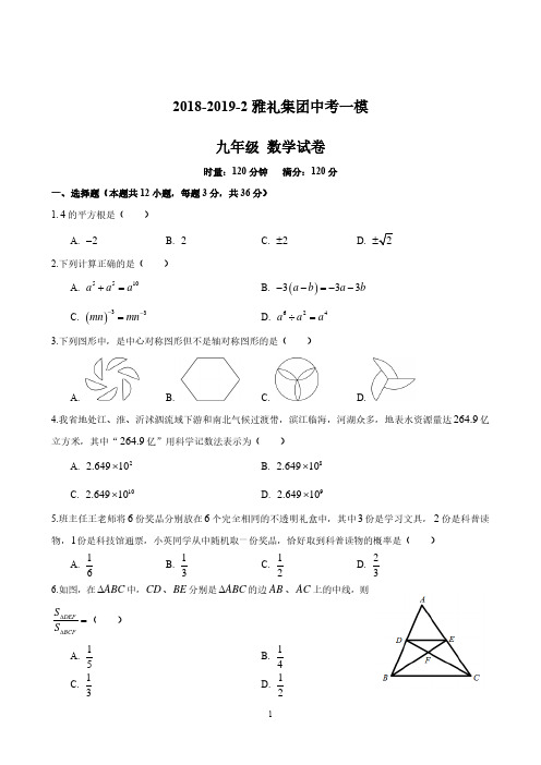 湖南名校雅礼集团2018-2019九年级中考一模数学