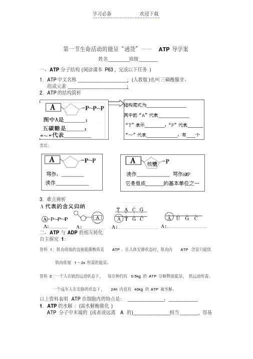 能量货币ATP导学案