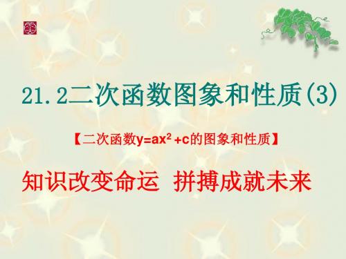21.2 二次函数的图象和性质(3)