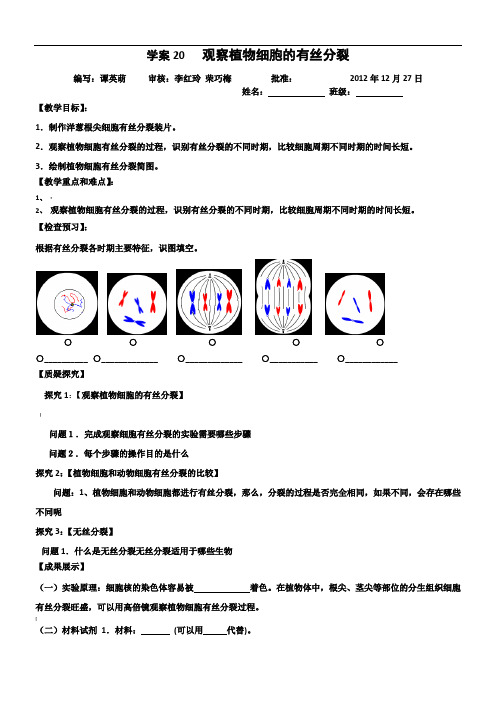 学案20--观察植物细胞的有丝分裂实验