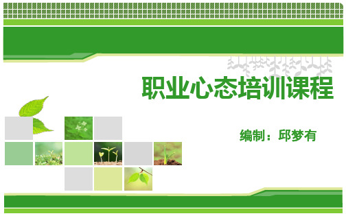 职业心态培训讲义精品示范95张