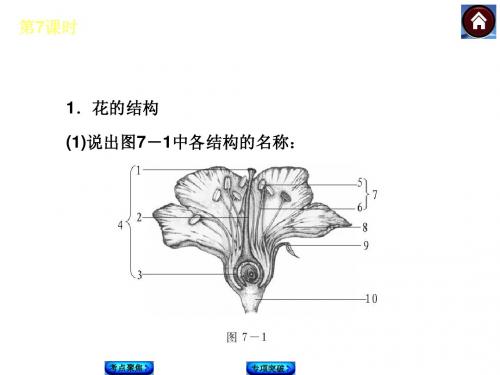 2015中考生物复习方案：绿色植物与生物圈的水循环(14张ppt)