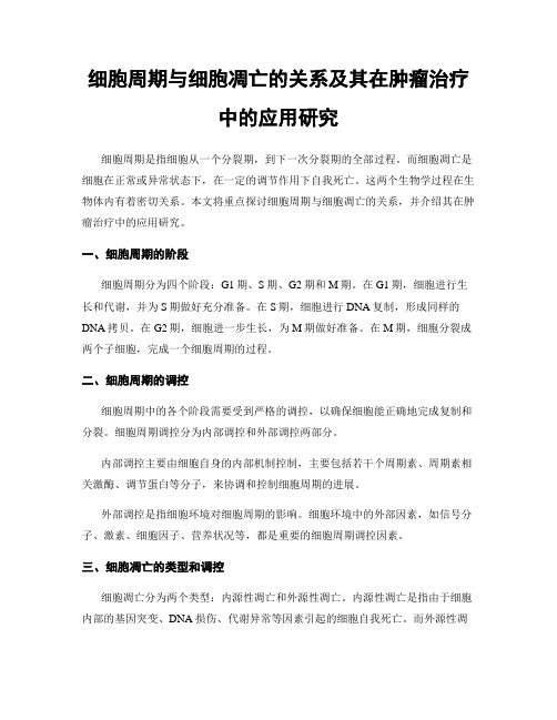 细胞周期与细胞凋亡的关系及其在肿瘤治疗中的应用研究