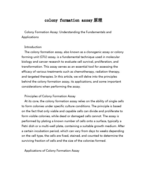 colony formation assay原理