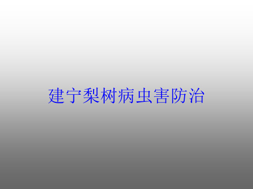 建宁梨树病虫害防治培训课件