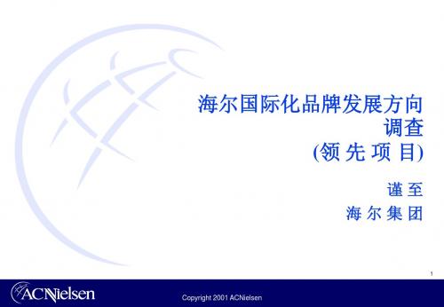 136 海尔调查报告(AC尼尔森)