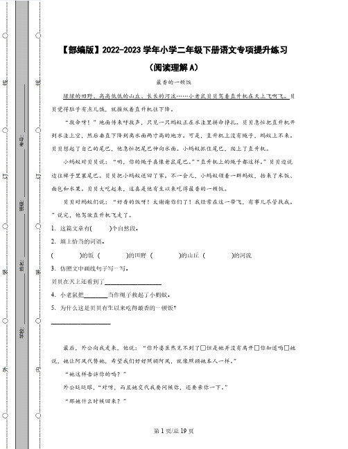 【部编版】2022-2023学年小学二年级下册语文专项提升练习(阅读理解AB卷)含解析