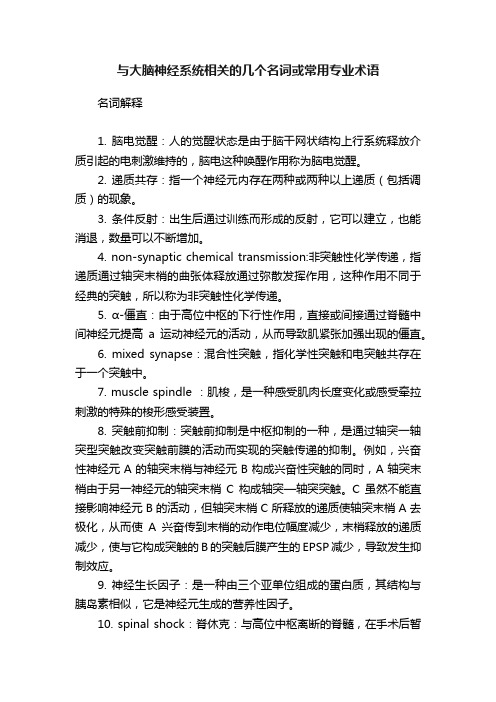 与大脑神经系统相关的几个名词或常用专业术语