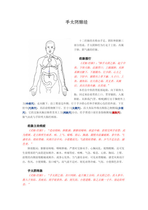 手太阴肺经