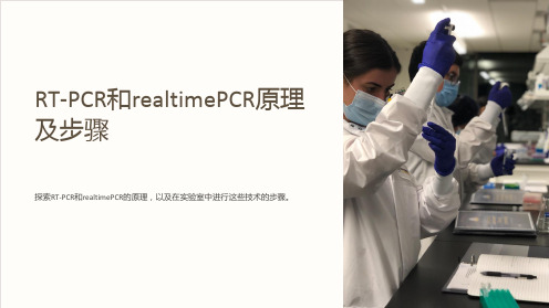 RT-PCR和realtimePCR原理及步骤