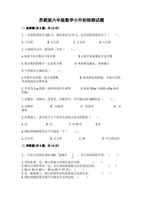 苏教版六年级数学小升初检测试题必考题