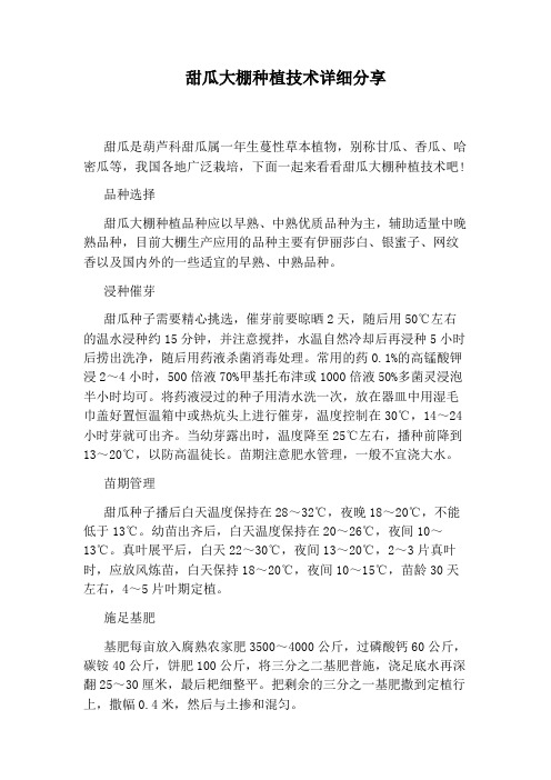 甜瓜大棚种植技术详细分享
