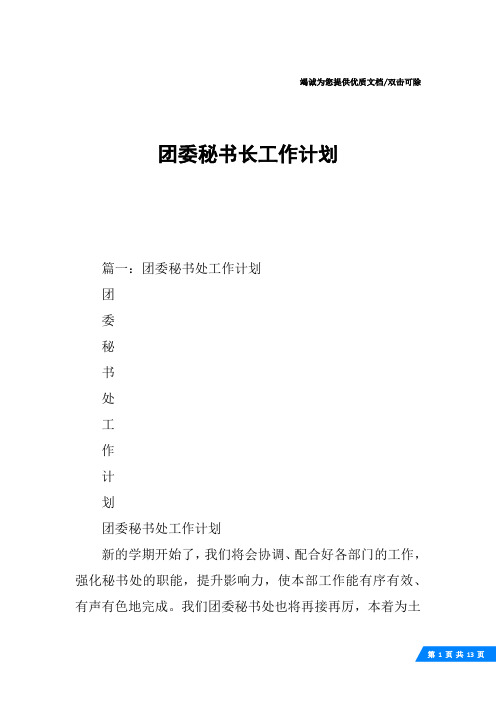 团委秘书长工作计划