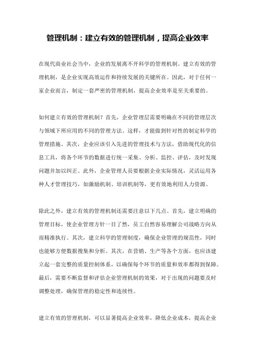 管理机制：建立有效的管理机制,提高企业效率