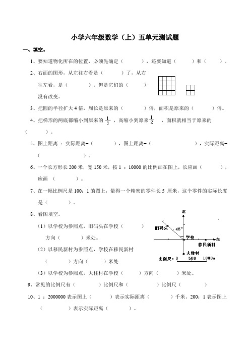 西师大版小学六年级数学上册第五单元测试题(附答案)