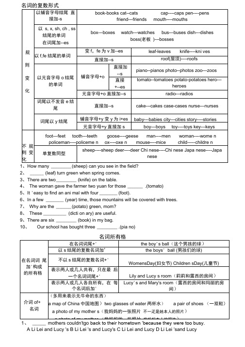 名词的复数形式及所有格