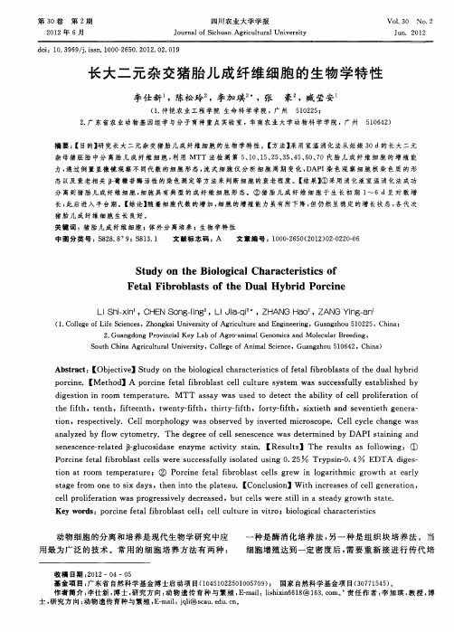 长大二元杂交猪胎儿成纤维细胞的生物学特性