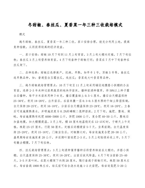 冬甜椒、春丝瓜、夏香菜一年三种三收栽培模式