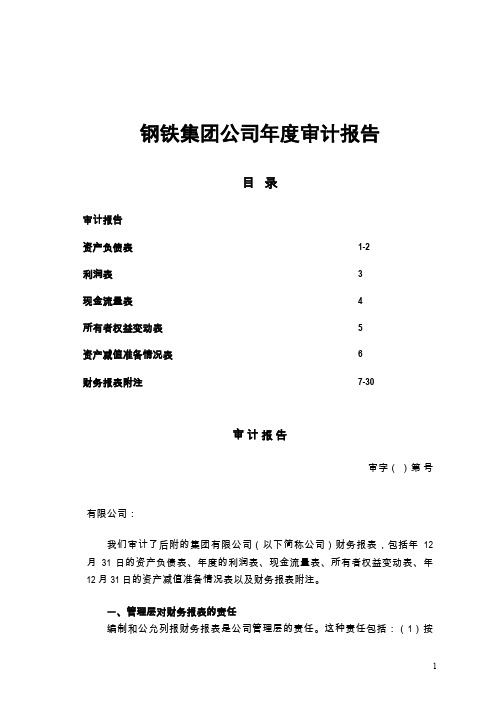 钢铁集团公司年度审计报告  范本