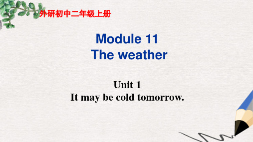 八年级英语上册 Module 11 The weather Unit 1 It may be cold tomorrow.教学课件 外研版