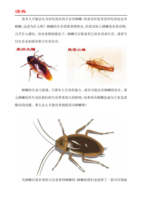 家里没有吃的为什么还有蟑螂