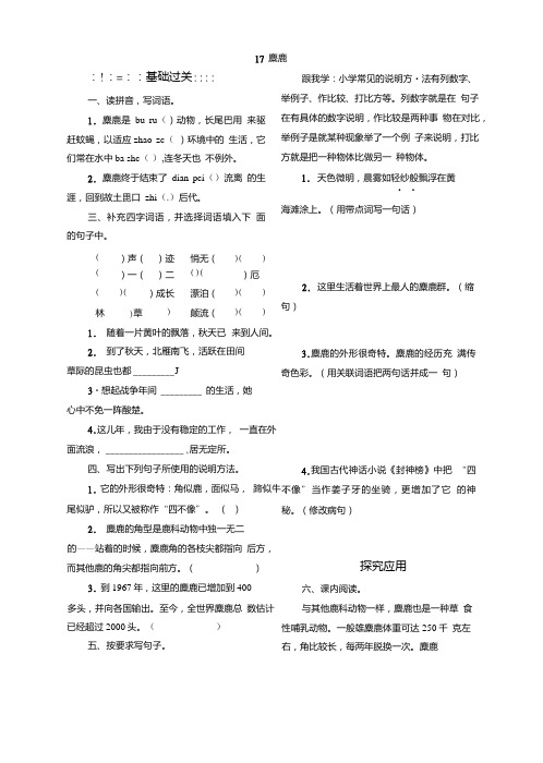 【精品】六年级上册语文一课一练-17麋鹿｜苏教版(含答案).doc