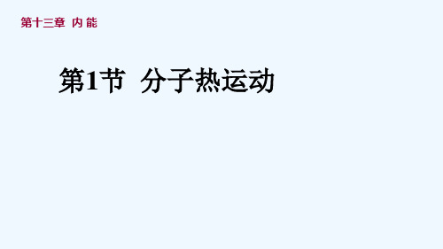 物理人教版九年级全册13.1分子热运动.1分子热运动(上课用)