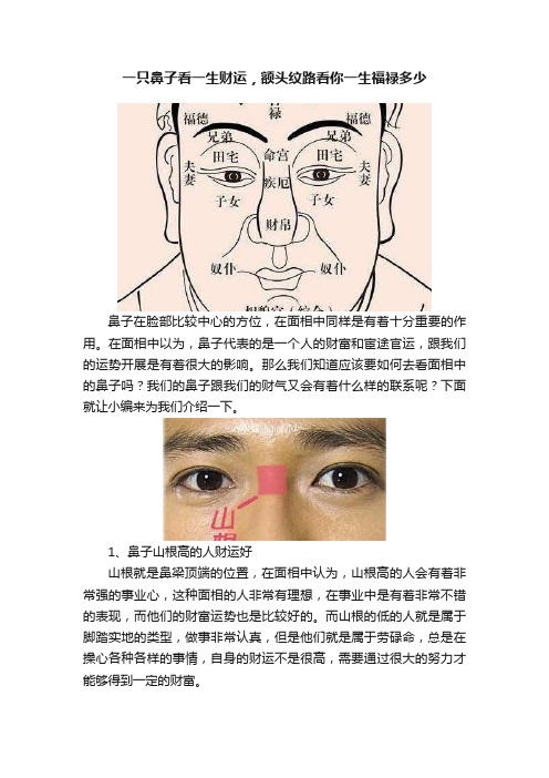 一只鼻子看一生财运，额头纹路看你一生福禄多少