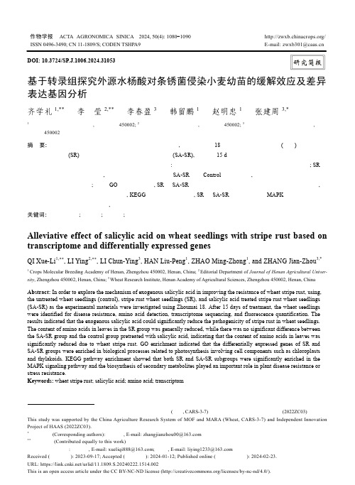 基于转录组探究外源水杨酸对条锈菌侵染小麦幼苗的缓解效应及差异表达基因分析