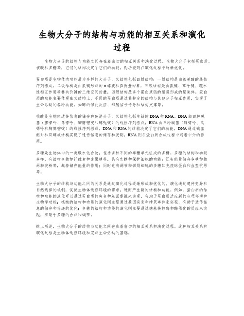 生物大分子的结构与功能的相互关系和演化过程